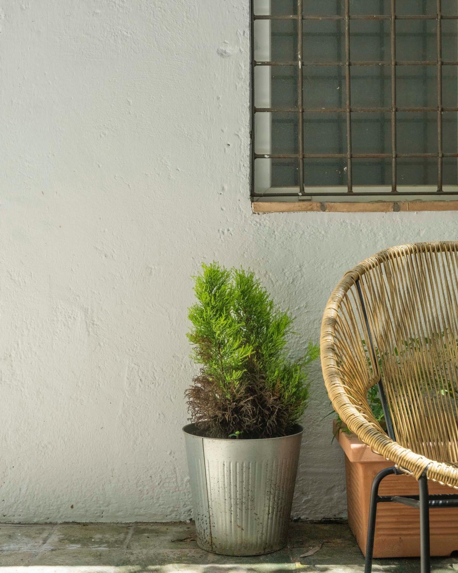 Appartamento Piazza Cavour Zen Garden-zen36 *