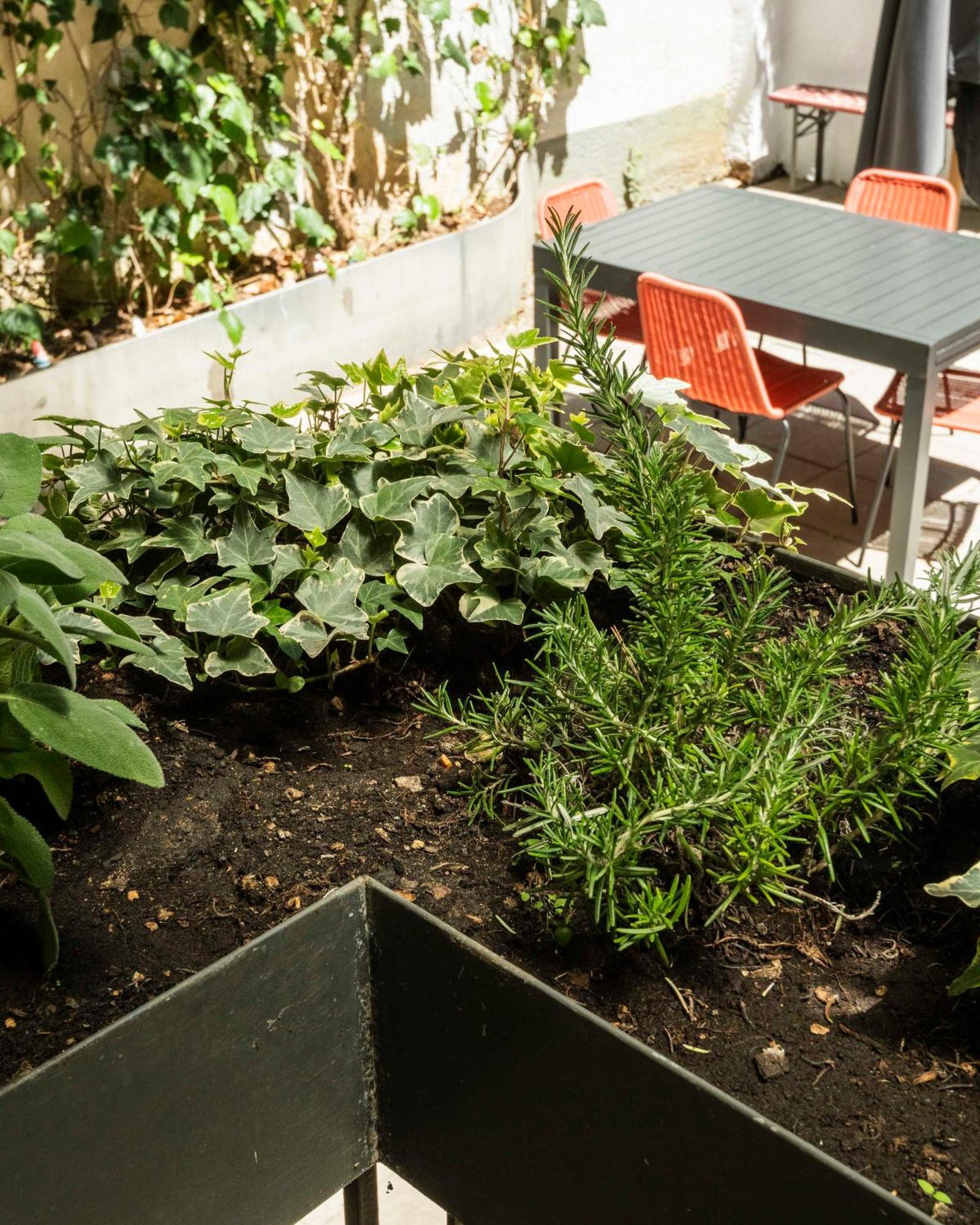 Appartamento Piazza Cavour Zen Garden-zen36